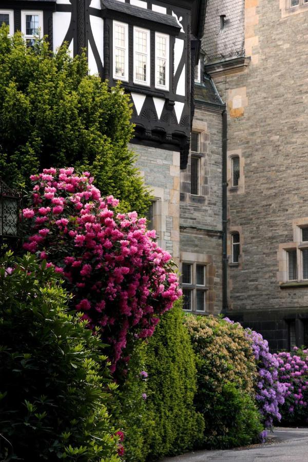 Schlosshotel Kronberg - Hotel Frankfurt Kronberg im Taunus Zewnętrze zdjęcie